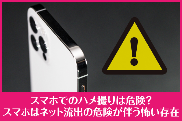 �X�}�z�ł̃n���B��͊댯�H�X�}�z�̓l�b�g���o�̊댯�������|������