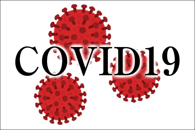 �V�^�R���i�̉e���ŏo��n�ł̓n���B�肪���s���I���̗��R�Ƃ́H