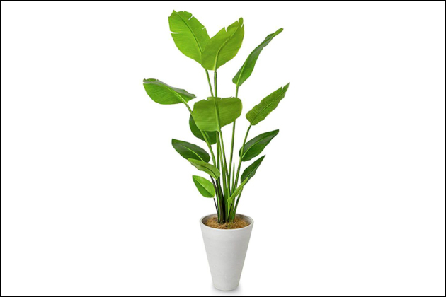 ���u�z�e���œ��B�E�B���B��̃n���B��I�J�����̐ݒu�ꏊ�ƃA���O��